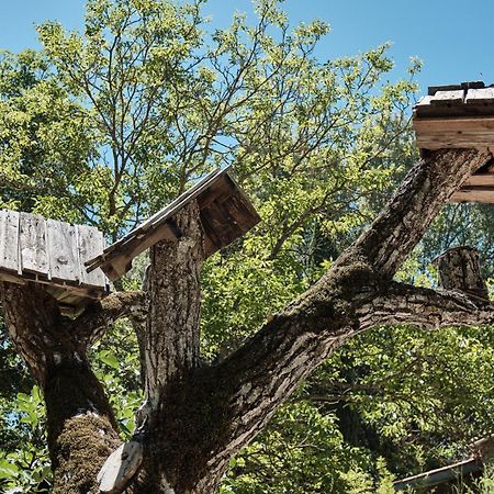 Les Maisons De Chante Oiseau Sigonce Luaran gambar