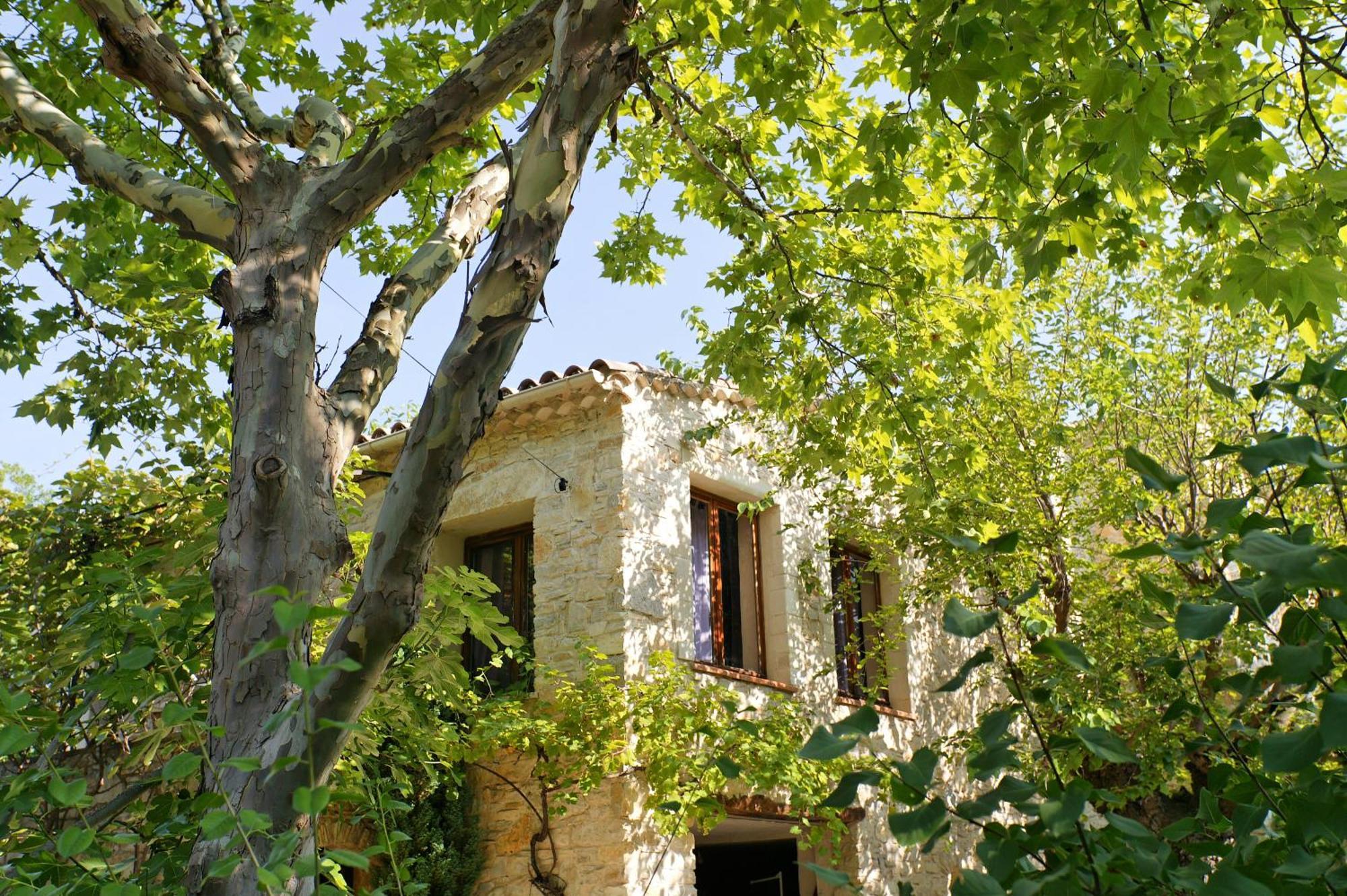 Les Maisons De Chante Oiseau Sigonce Luaran gambar