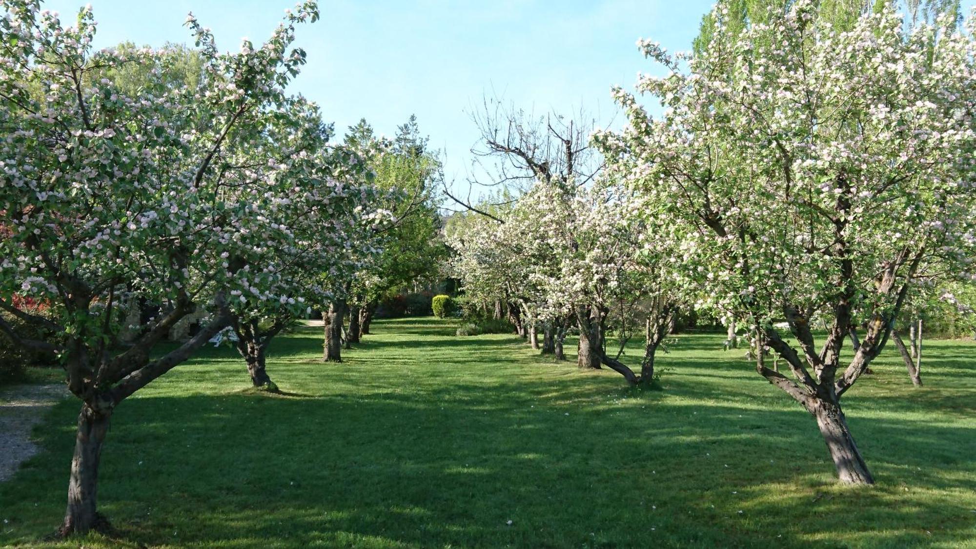 Les Maisons De Chante Oiseau Sigonce Luaran gambar