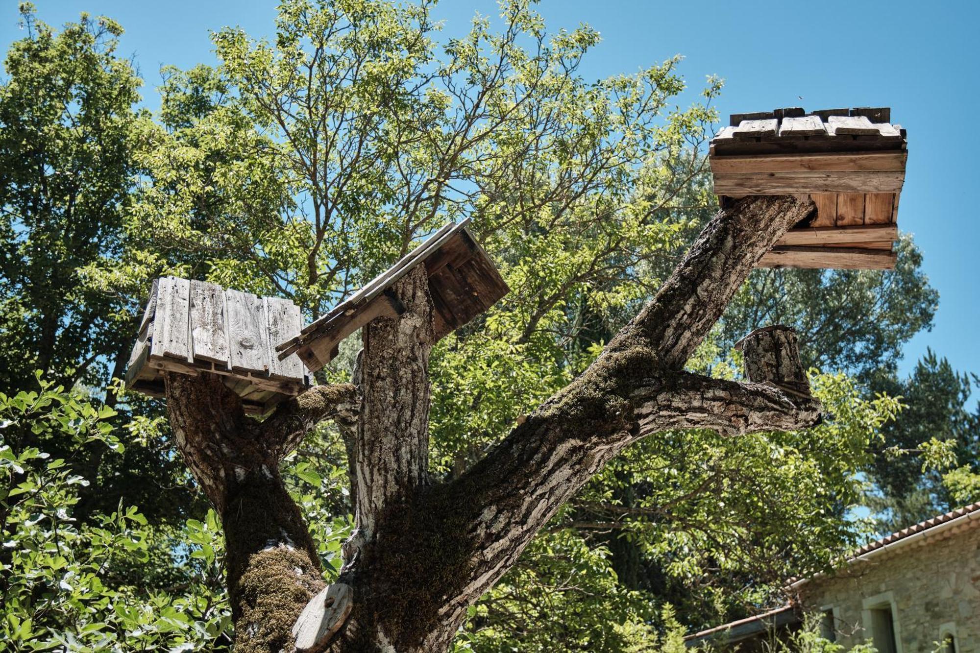 Les Maisons De Chante Oiseau Sigonce Luaran gambar
